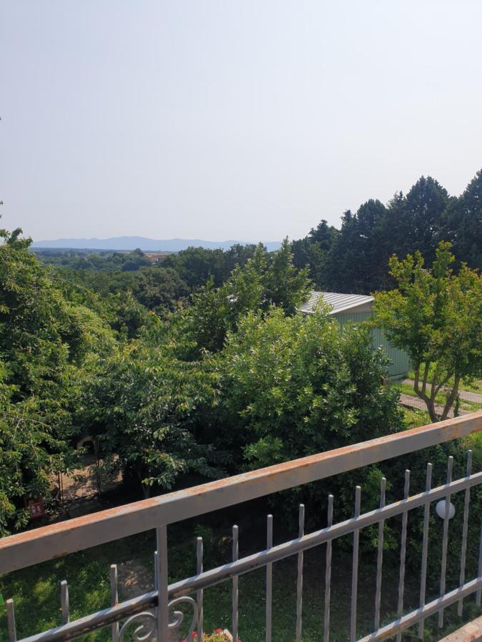 Alloggio Turistico Montefiascone Εξωτερικό φωτογραφία